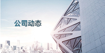 公司动态